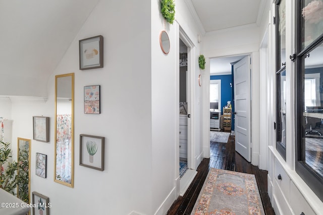 hall with dark wood-style flooring and crown molding