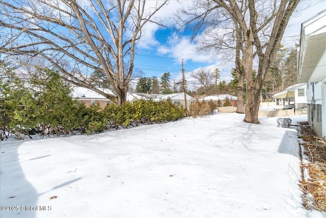 view of yard layered in snow