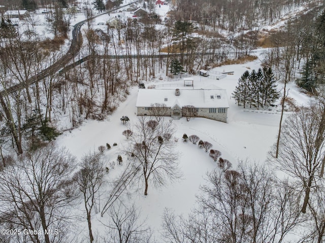 view of snowy aerial view