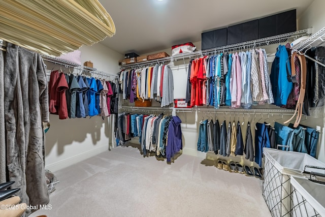 walk in closet with carpet