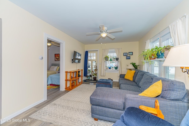 living room featuring ceiling fan and wood-type flooring