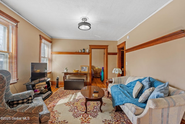 living area featuring crown molding, a textured ceiling, and light wood finished floors