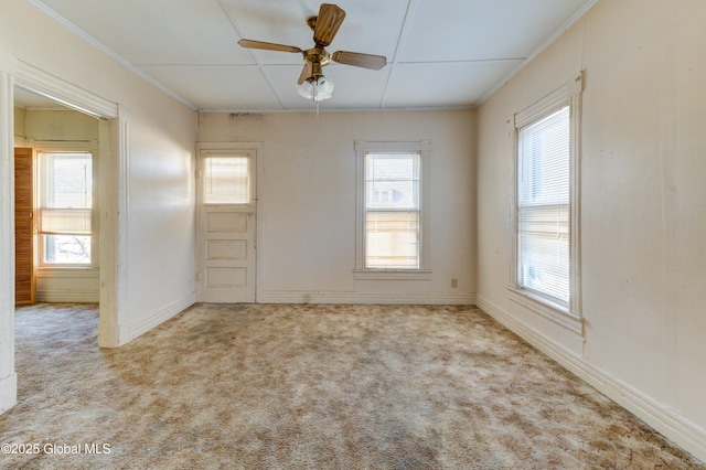 carpeted spare room with ceiling fan and ornamental molding