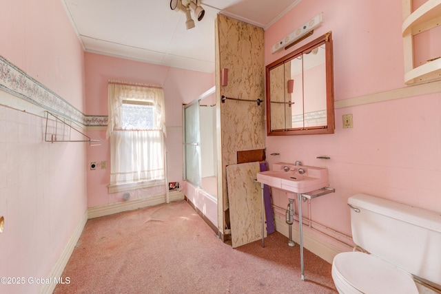 bathroom featuring carpet floors and toilet