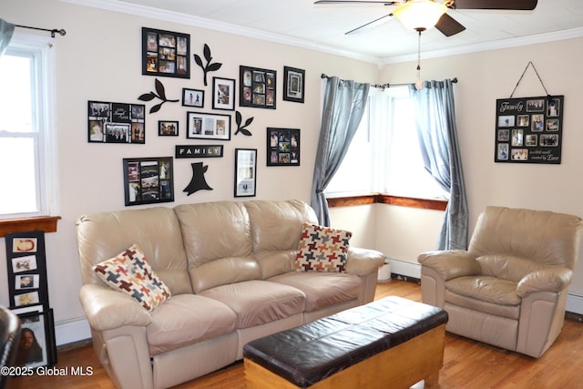 living room featuring ceiling fan, a baseboard radiator, crown molding, and wood finished floors