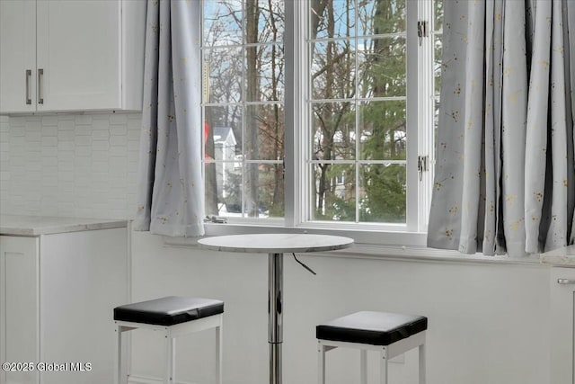 interior details featuring decorative backsplash