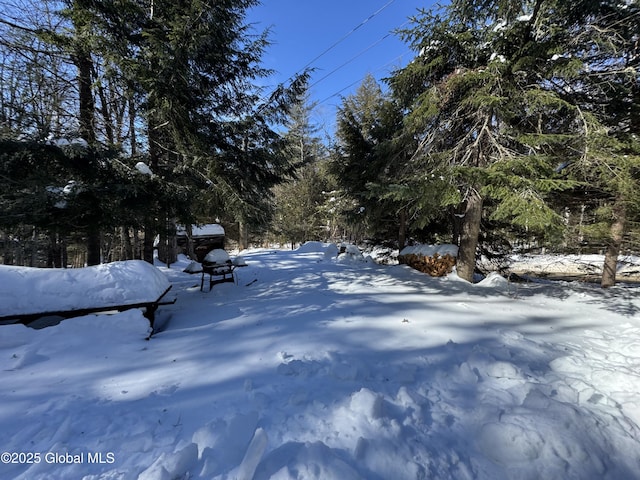 view of yard layered in snow