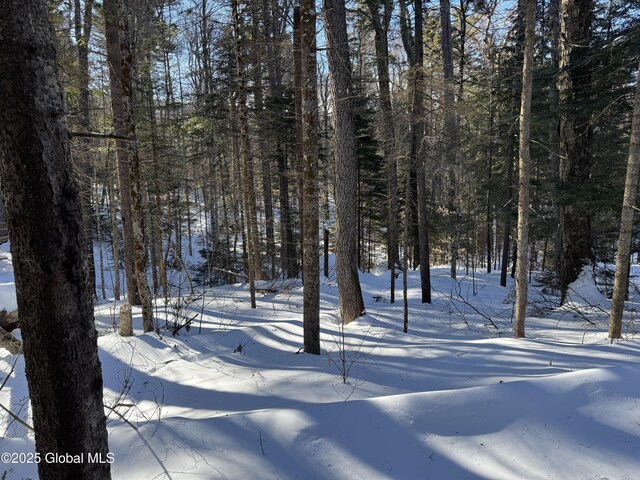 yard layered in snow featuring a forest view