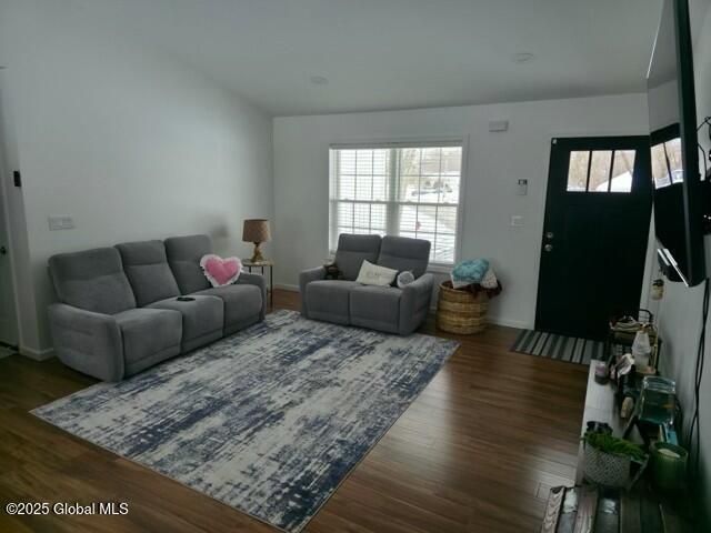 living room featuring wood finished floors