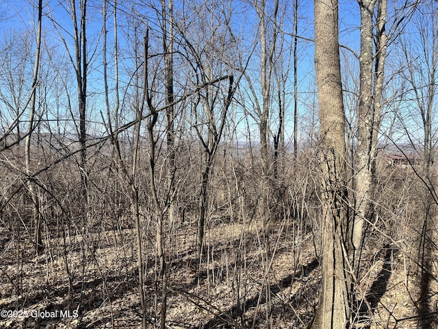 L15.2 Cross Hill Rd, Richmondville, NY 12149 - photo 6