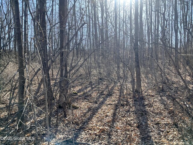 L15.2 Cross Hill Rd, Richmondville, NY 12149 - photo 7