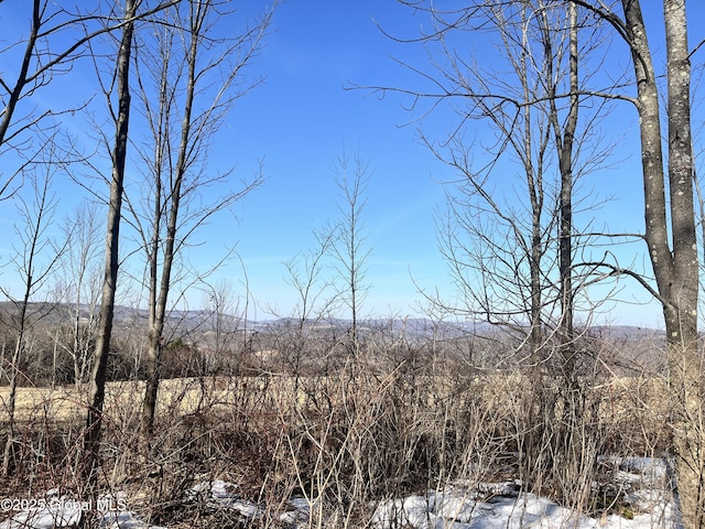L15.2 Cross Hill Rd, Richmondville, NY 12149 - photo 8
