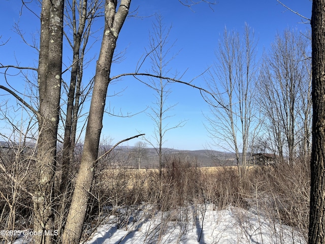 L15.2 Cross Hill Rd, Richmondville, NY 12149 - photo 9