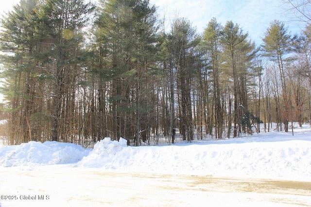 0 Continental Dr, Schroon NY, 12870 land for sale