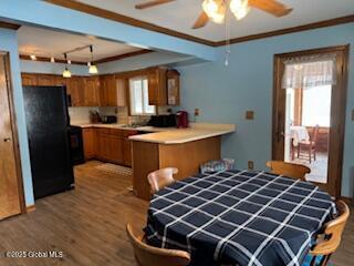 dining area featuring a ceiling fan, crown molding, and wood finished floors