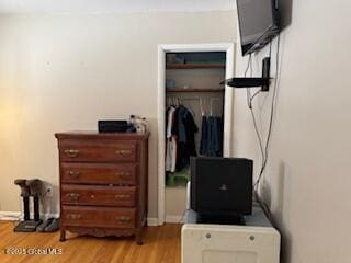 bedroom featuring light wood-style floors and a closet