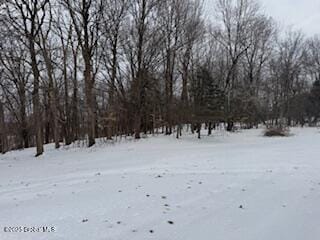 view of yard covered in snow