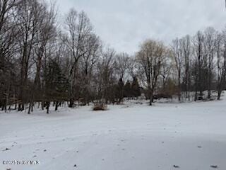 view of snowy yard