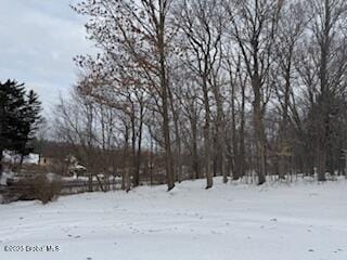 view of snowy yard