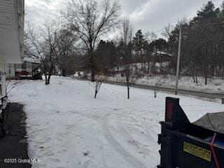 view of yard covered in snow