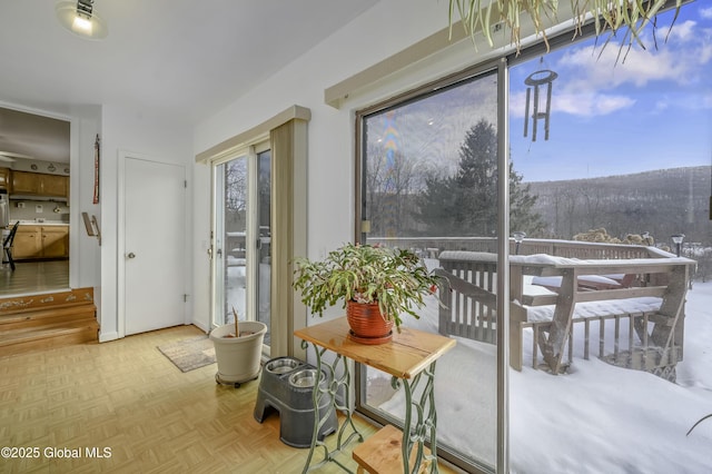 entryway featuring a healthy amount of sunlight