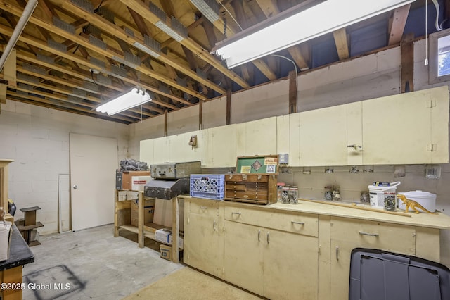 basement with concrete block wall