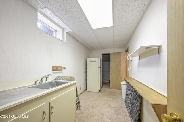 clothes washing area featuring a sink and light colored carpet