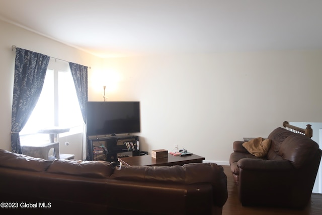 living area with dark wood-type flooring