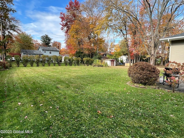 view of yard featuring an outbuilding and a storage shed