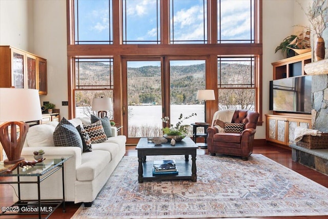 living room featuring wood finished floors, a mountain view, and a towering ceiling