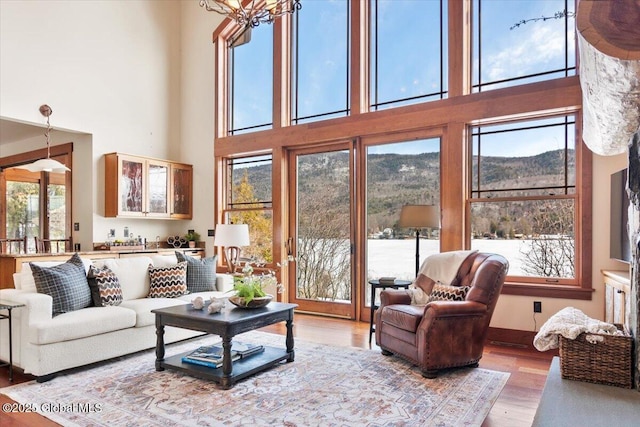 living room featuring a mountain view, a high ceiling, and wood finished floors