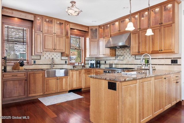 kitchen featuring light stone counters, a healthy amount of sunlight, dark wood finished floors, a sink, and exhaust hood