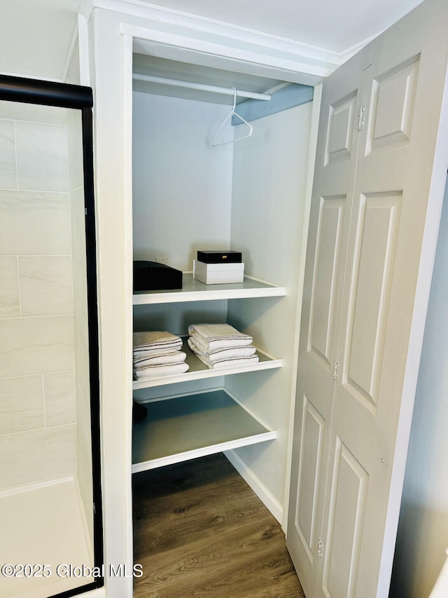 12 Berry Patch Way, Crown Point, NY 12928 - view of closet