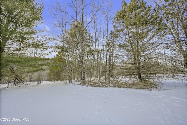 view of yard covered in snow