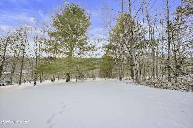 view of yard layered in snow