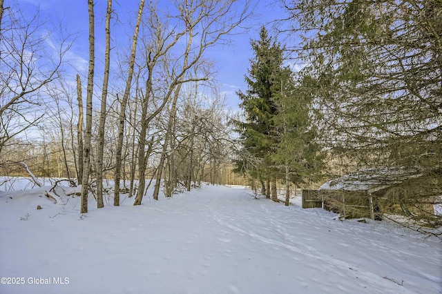 view of yard layered in snow