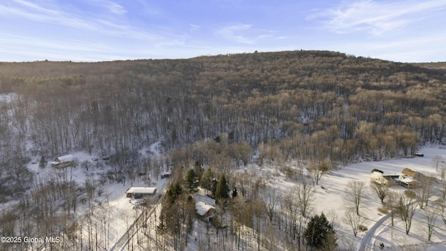 birds eye view of property featuring a forest view