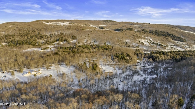 drone / aerial view with a mountain view