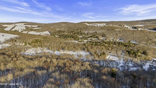 view of mountain feature