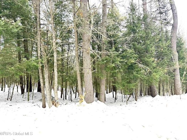 Listing photo 2 for 0 Hidden Valley Rd Lot 2, Lake Luzerne NY 12846