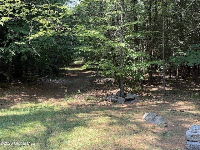 L93 Hidden Valley Rd Lot 2, Lake Luzerne, NY 12846 - photo 5