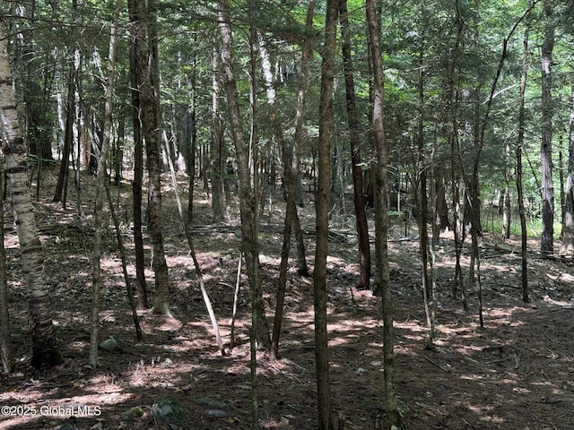 L93 Hidden Valley Rd Lot 2, Lake Luzerne, NY 12846 - photo 6