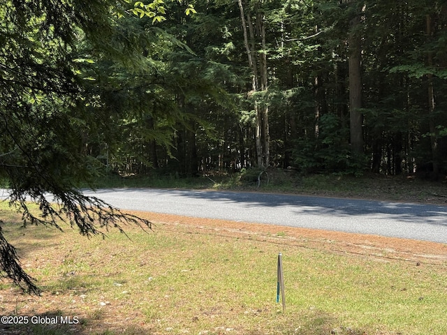 L93 Hidden Valley Rd Lot 2, Lake Luzerne, NY 12846 - photo 7