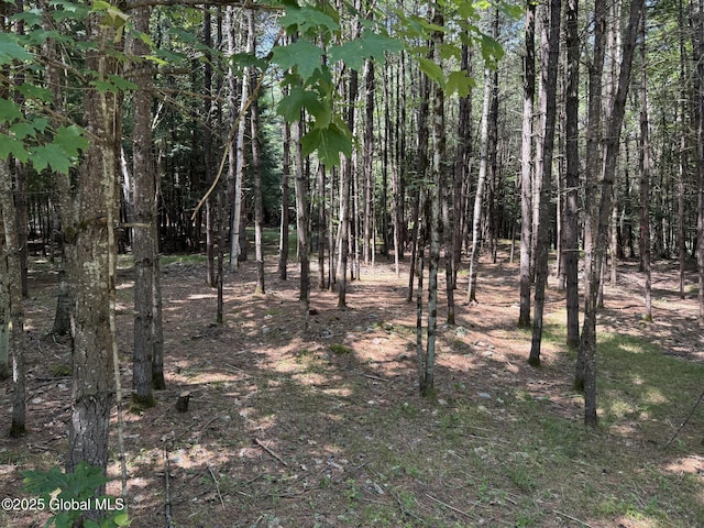L93 Hidden Valley Rd Lot 2, Lake Luzerne, NY 12846 - photo 8