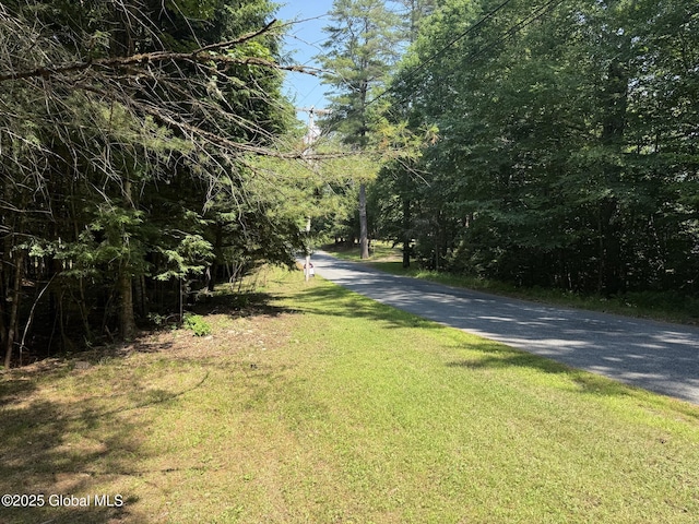 L93 Hidden Valley Rd Lot 2, Lake Luzerne, NY 12846 - photo 9