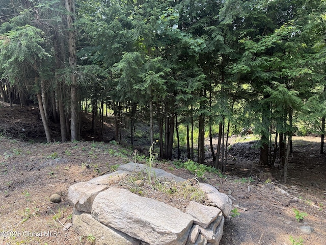 L93 Hidden Valley Rd Lot 2, Lake Luzerne, NY 12846 - photo 12
