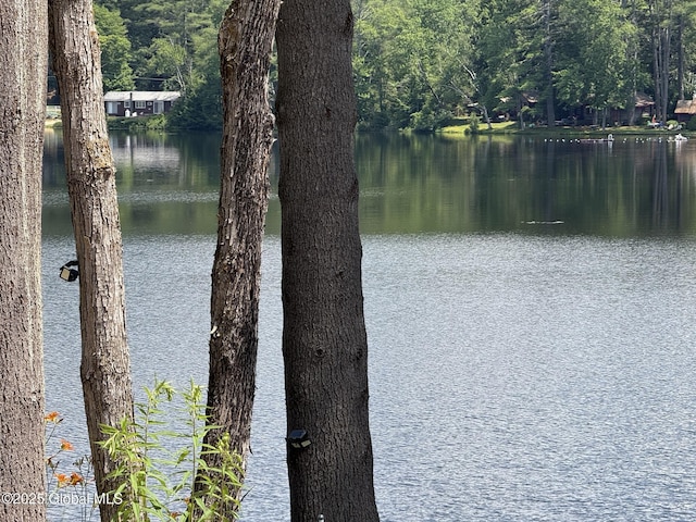 L93 Hidden Valley Rd Lot 2, Lake Luzerne, NY 12846 - photo 14