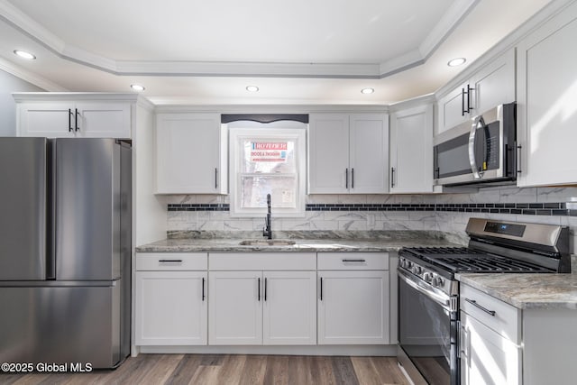 kitchen with crown molding, stainless steel appliances, a sink, and a raised ceiling