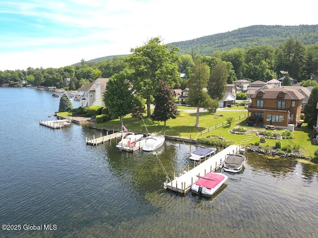 bird's eye view with a water view and a forest view