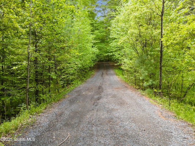 76 Barney Rd, Greenfield, NY 12850 - view of dirt / gravel road with a forest view